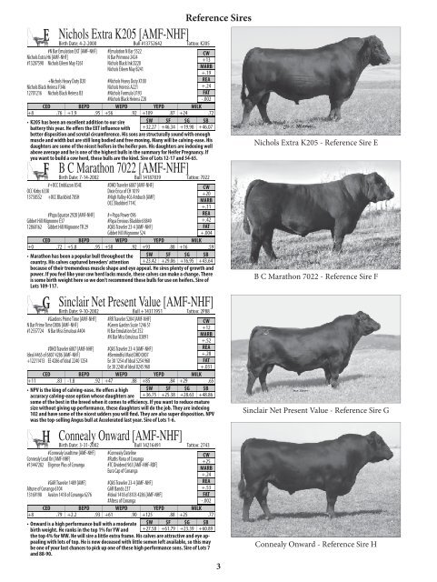 Carter Cattle Co. - Angus Journal