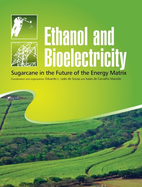 Sugarcane in the Future of the Energy Matrix