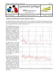 Arbeitsauftrag Klanganalyse mit Spectrum Analyzer - Gymnasium ...