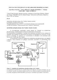 NouveautÃ©s concernant le mÃ©tabolisme phosphocal...