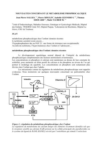 NouveautÃ©s concernant le mÃ©tabolisme phosphocal...