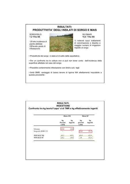 Silomais e insilati di sorgo nel razionamento della bovina da ... - ARAL