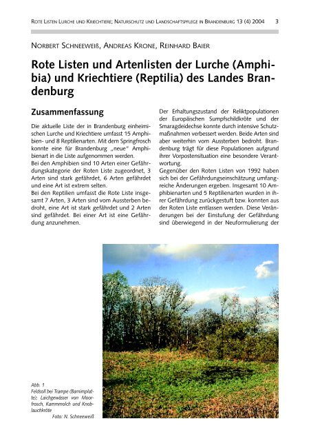 Rote Liste Lurche und Kriechtiere - LUGV - Land Brandenburg