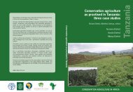 Conservation agriculture Tanzania_casestudy.pdf - Sokoine ...