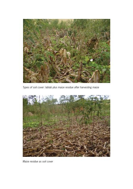 Conservation agriculture Tanzania_casestudy.pdf - Sokoine ...