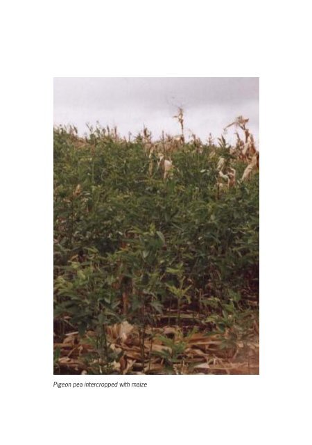 Conservation agriculture Tanzania_casestudy.pdf - Sokoine ...