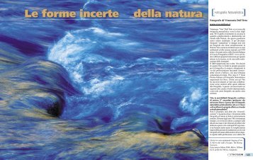 Le forme incerte della natura
