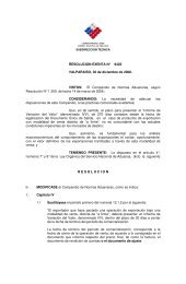 ResoluciÃ³n Exenta NÂ° 9420 - 30.12.08 (archivo descargable pdf 74 ...