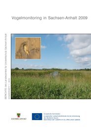 Vogelmonitoring in Sachsen-Anhalt 2009 - Ornithologenverband ...