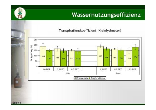 Wassernutzungseffizienz von Mais und Sorghum - TLL