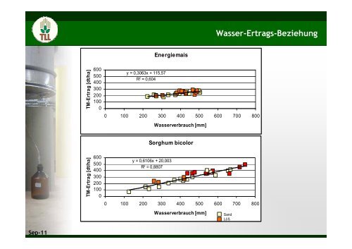 Wassernutzungseffizienz von Mais und Sorghum - TLL