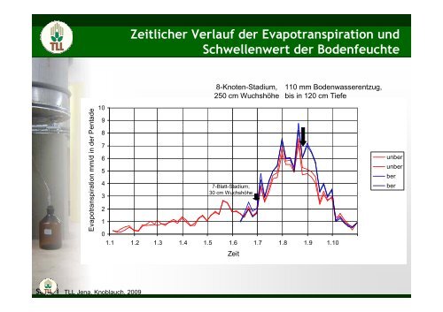 Wassernutzungseffizienz von Mais und Sorghum - TLL