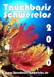 PADI (Junior) Open Water Diver - Kurs - Tauchbasis Schwerelos