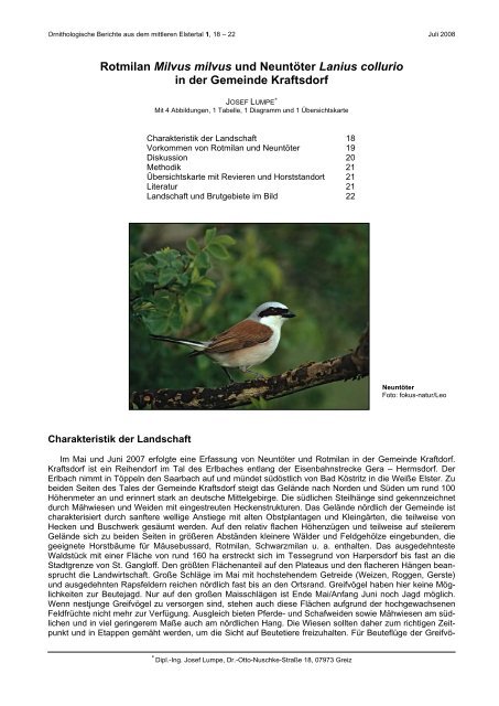 Ornithologische Berichte aus dem mittleren Elstertal