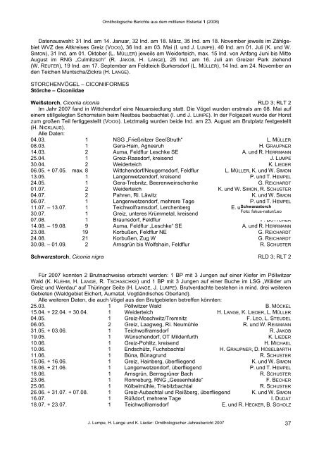 Ornithologische Berichte aus dem mittleren Elstertal