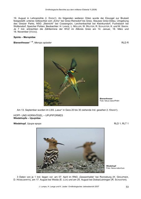 Ornithologische Berichte aus dem mittleren Elstertal