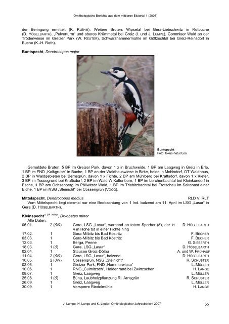 Ornithologische Berichte aus dem mittleren Elstertal