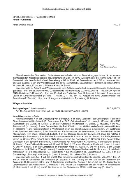 Ornithologische Berichte aus dem mittleren Elstertal