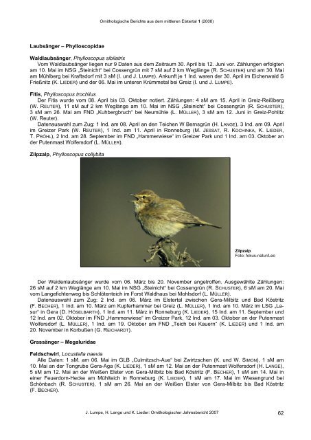 Ornithologische Berichte aus dem mittleren Elstertal