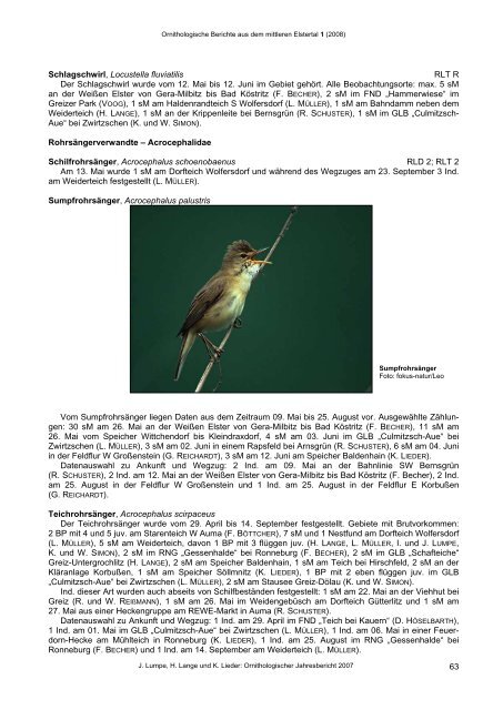 Ornithologische Berichte aus dem mittleren Elstertal