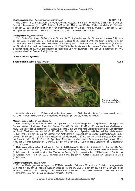 Ornithologische Berichte aus dem mittleren Elstertal