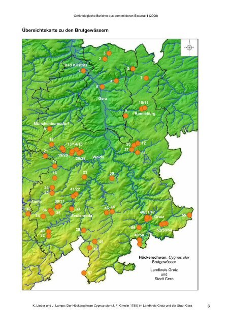 Ornithologische Berichte aus dem mittleren Elstertal