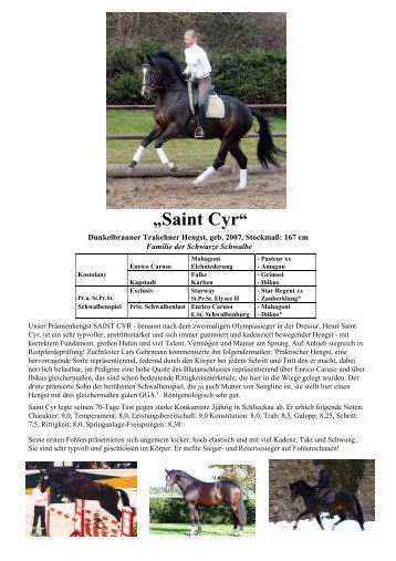 „Saint Cyr“ - Trakehner Gestüt Hämelschenburg