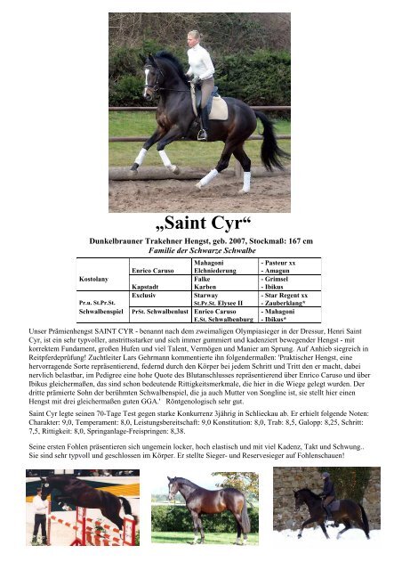 „Saint Cyr“ - Trakehner Gestüt Hämelschenburg