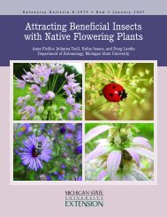 Attracting Beneficial Insects with Native Flowering Plants - Michigan