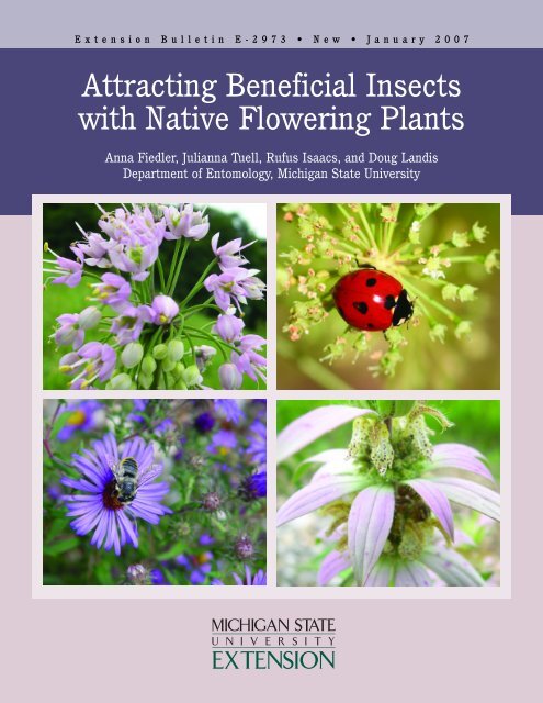 Attracting Beneficial Insects with Native Flowering Plants - Michigan