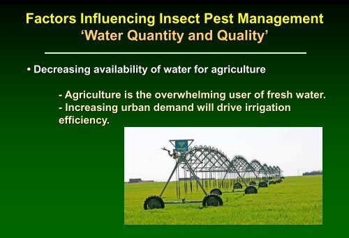 Management of potato insect pests with in-furrow and seed-applied ...