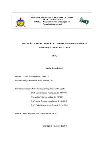 Resumo da tese de doutorado de Lucila Adriani Coral