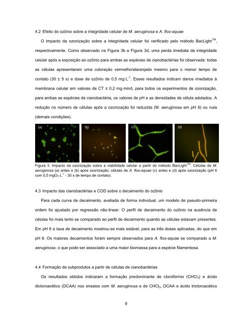 Resumo da tese de doutorado de Lucila Adriani Coral