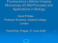 Fluorescence Lifetime Imaging Microscopy Microscopy [FLIM]