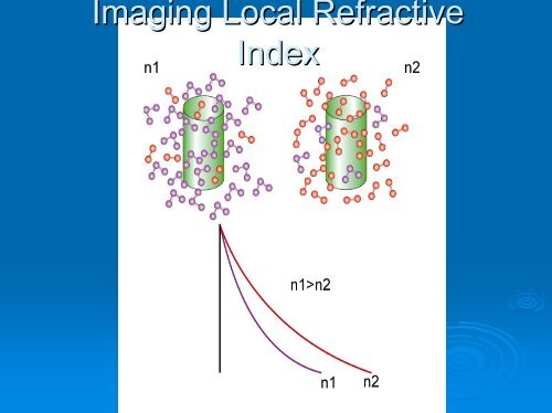 Fluorescence Lifetime Imaging Microscopy Microscopy [FLIM]