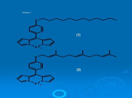 Fluorescence Lifetime Imaging Microscopy Microscopy [FLIM]