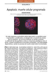 Apoptosis: muerte celular programada - Universidad de Castilla-La ...