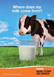 Where does my milk come from? - WSPA