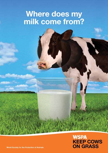 Where Does My Milk Come From Wspa