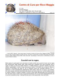 Cuccioli con la rogna - Associazione Amici del Riccio