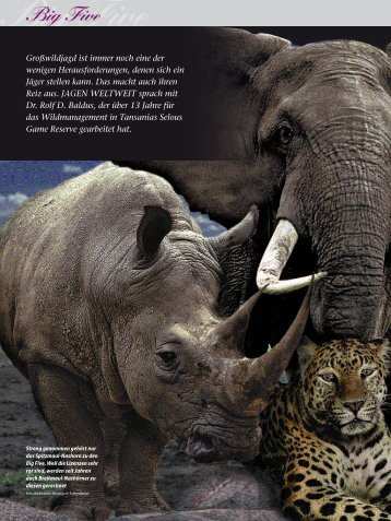 Big Five - wildlife-baldus.com