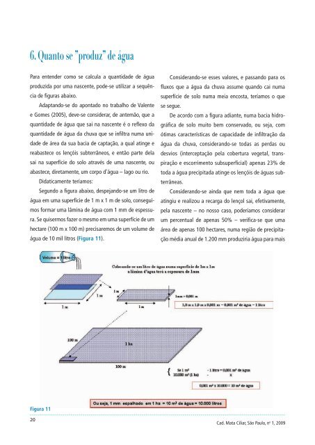 PRESERVAÃÃO E RECUPERAÃÃO DAS NASCENTES ... - SIGAM