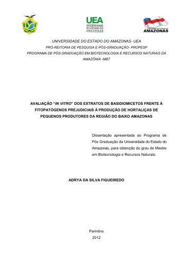 Adrya da Silva Figueiredo - uea - pós graduação