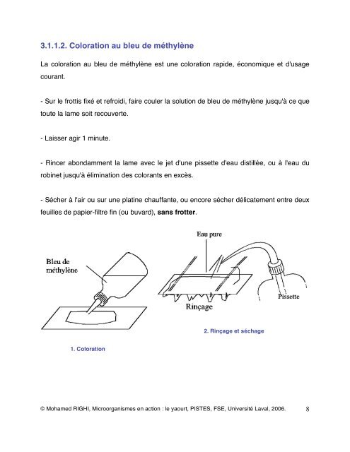 MICROORGANISMES EN ACTION : LE YAOURT - Pistes