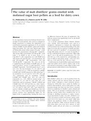 The value of malt distillers' grains ensiled with molassed sugar beet ...