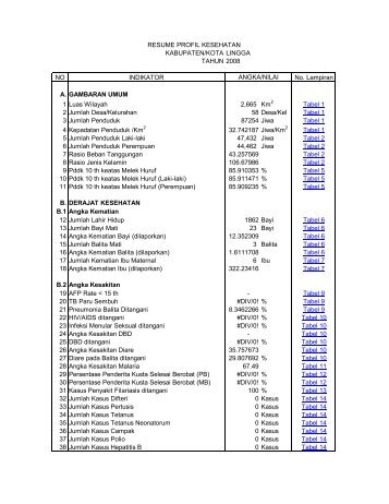 kab lingga 2008.pdf