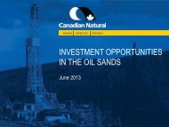 INVESTMENT OPPORTUNITIES IN THE OIL SANDS