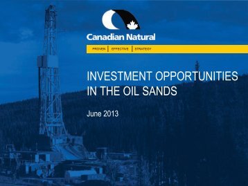 INVESTMENT OPPORTUNITIES IN THE OIL SANDS