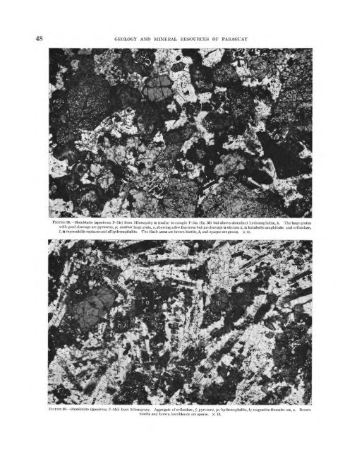 Geology and Mineral Resources of Paraguay A Reconnaissance