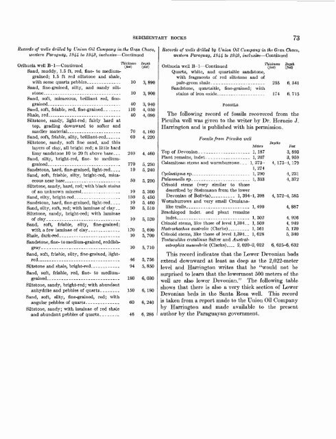 Geology and Mineral Resources of Paraguay A Reconnaissance